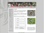 Website der Pfadfinder
